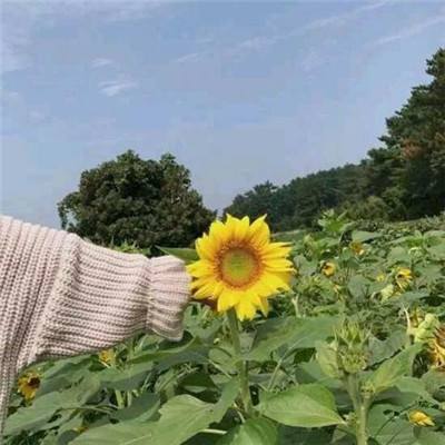 coda game最新版(暂未上线)v1.2 安卓版